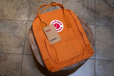 Fjallraven Kanken mini backpack
