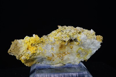 Mimetite & Wulfenite / Rare Mineral Specimen / Deer Trail Mine, Utah