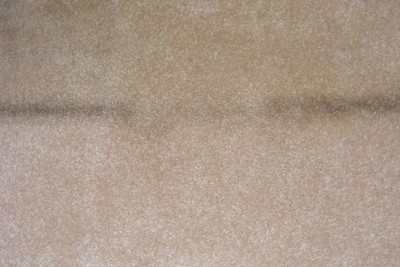 Nature's Miracle Brand Disinfectant Stain/Odor Remover 64 oz BRAND NEW