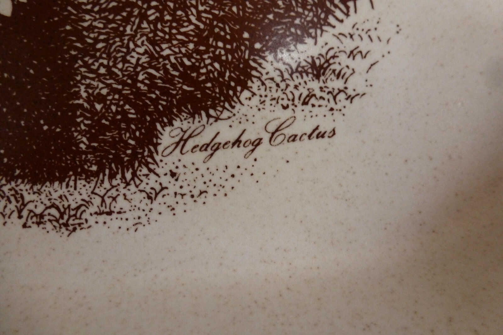 Noritake Stoneware Desert Flower 9 1/2