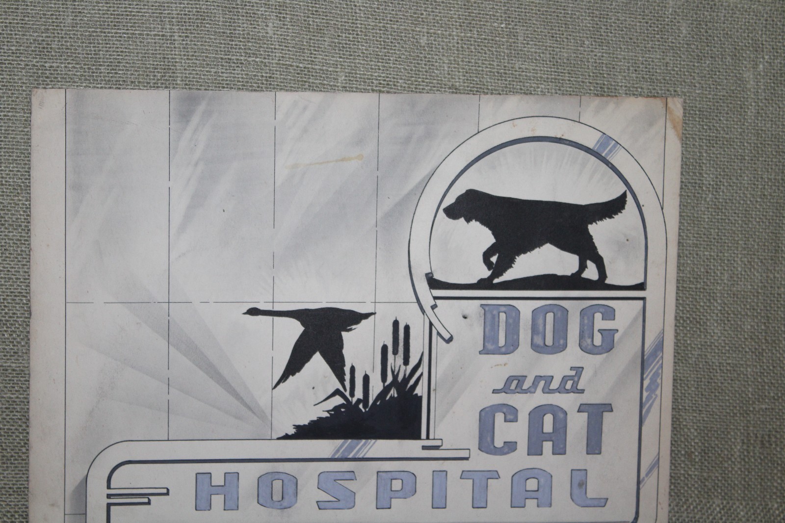 ORIGINAL 1930's DOG & CAT HOSPITAL PET BIRD PORCEALIN NEON SIGN CONCEPT ART