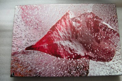 Artist Mo Devlin Giclee Canvas - ''Kiss Me'' - GWS Frozen Flower Leaf Photo Print