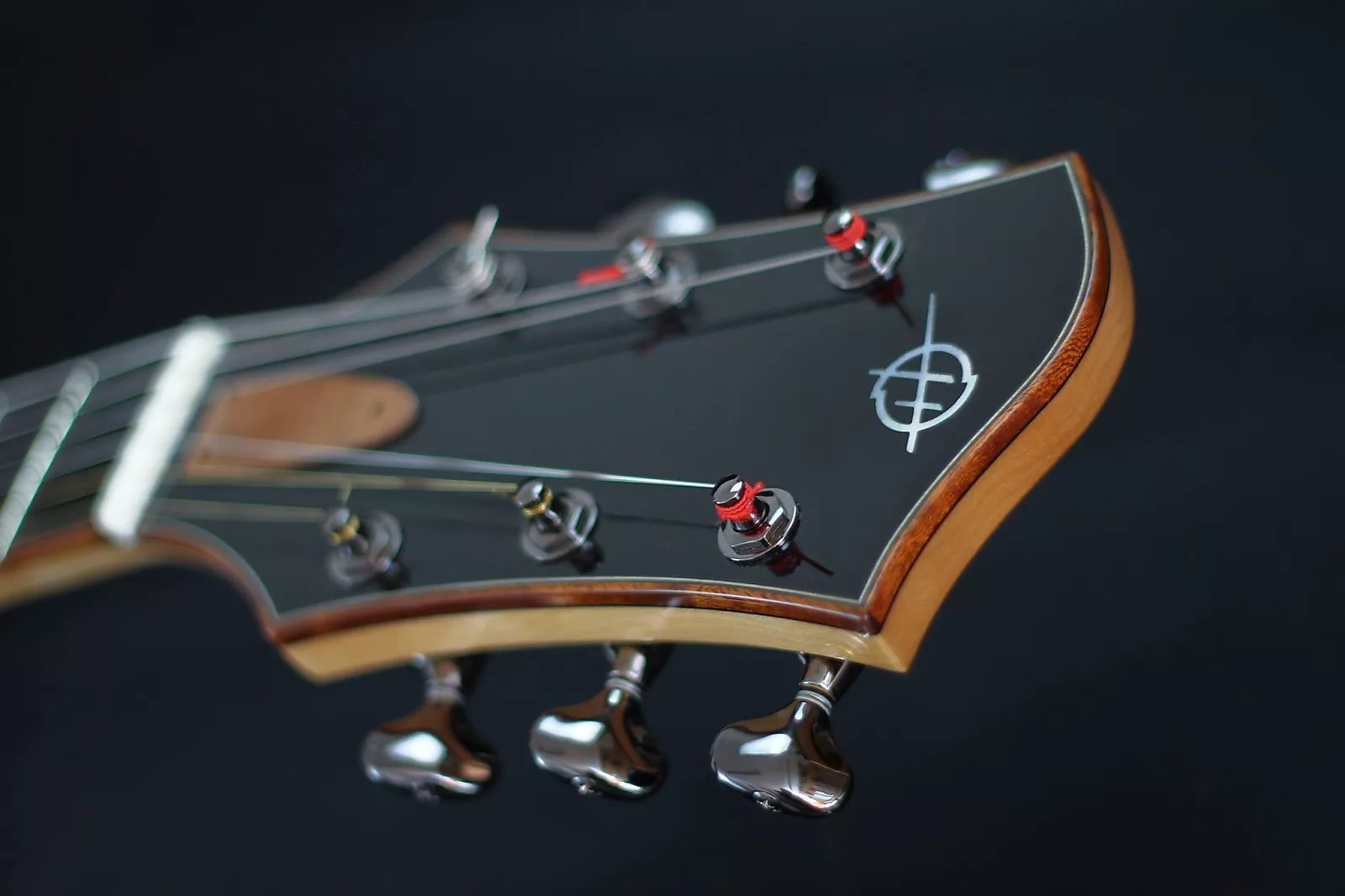 Richard Heeres Newport Archtop