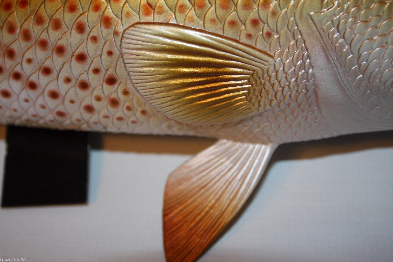 (1) Large 19 inch Redfish, FIsherman Gift, Ready mount, Ultra Realistic, 3-D