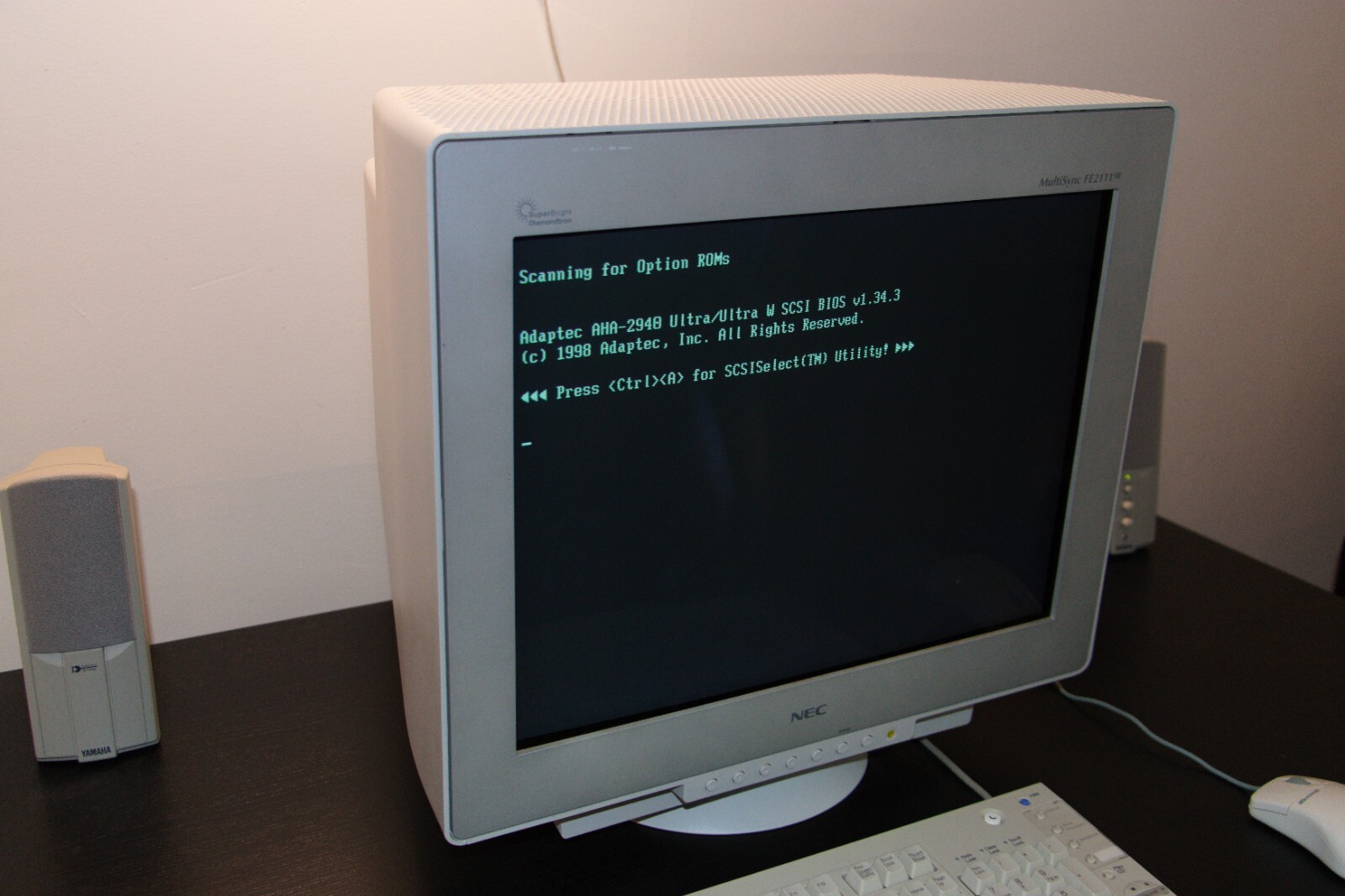 NEC C1270P31-ARF ///CRT モニターTM-1230A1B1 NEC Character Display – Apple Rescue of Denver