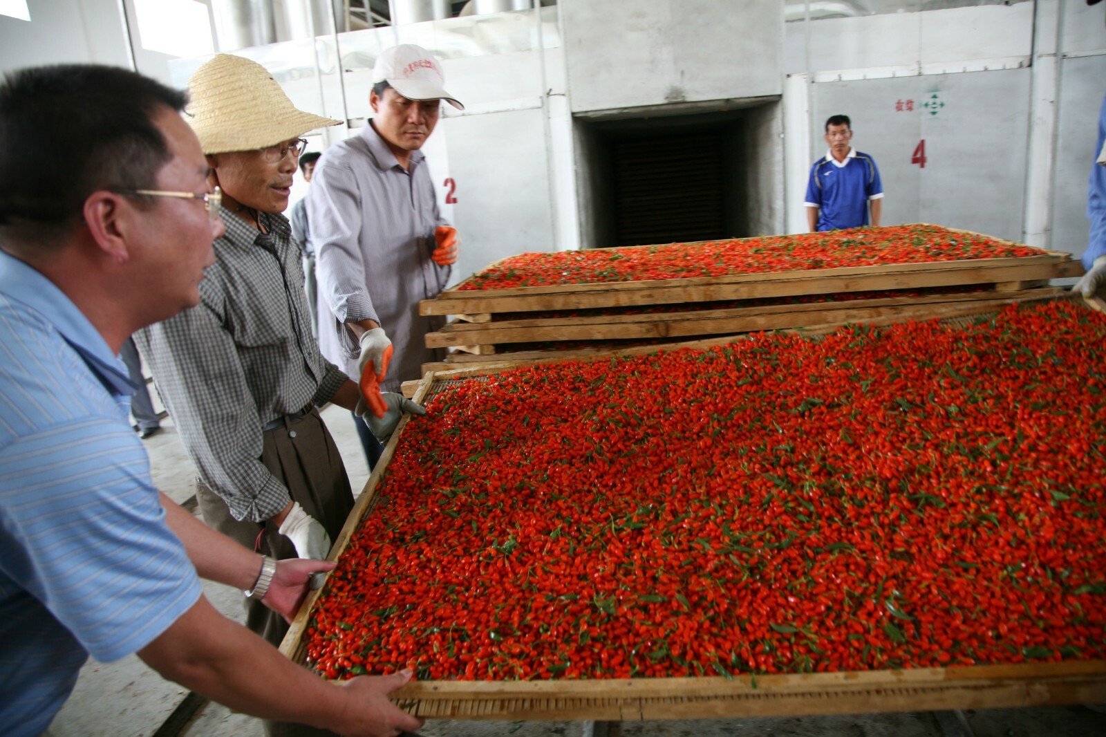 Organic Dried Goji Berries Superfood Raw Vegan Wolfberries by Wholeberry