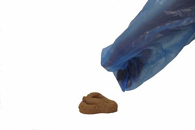 500 BLUE DOG DOGGIE PICKUP POOP CLEAN UP WASTE BAGS /HANDLES MADE IN USA