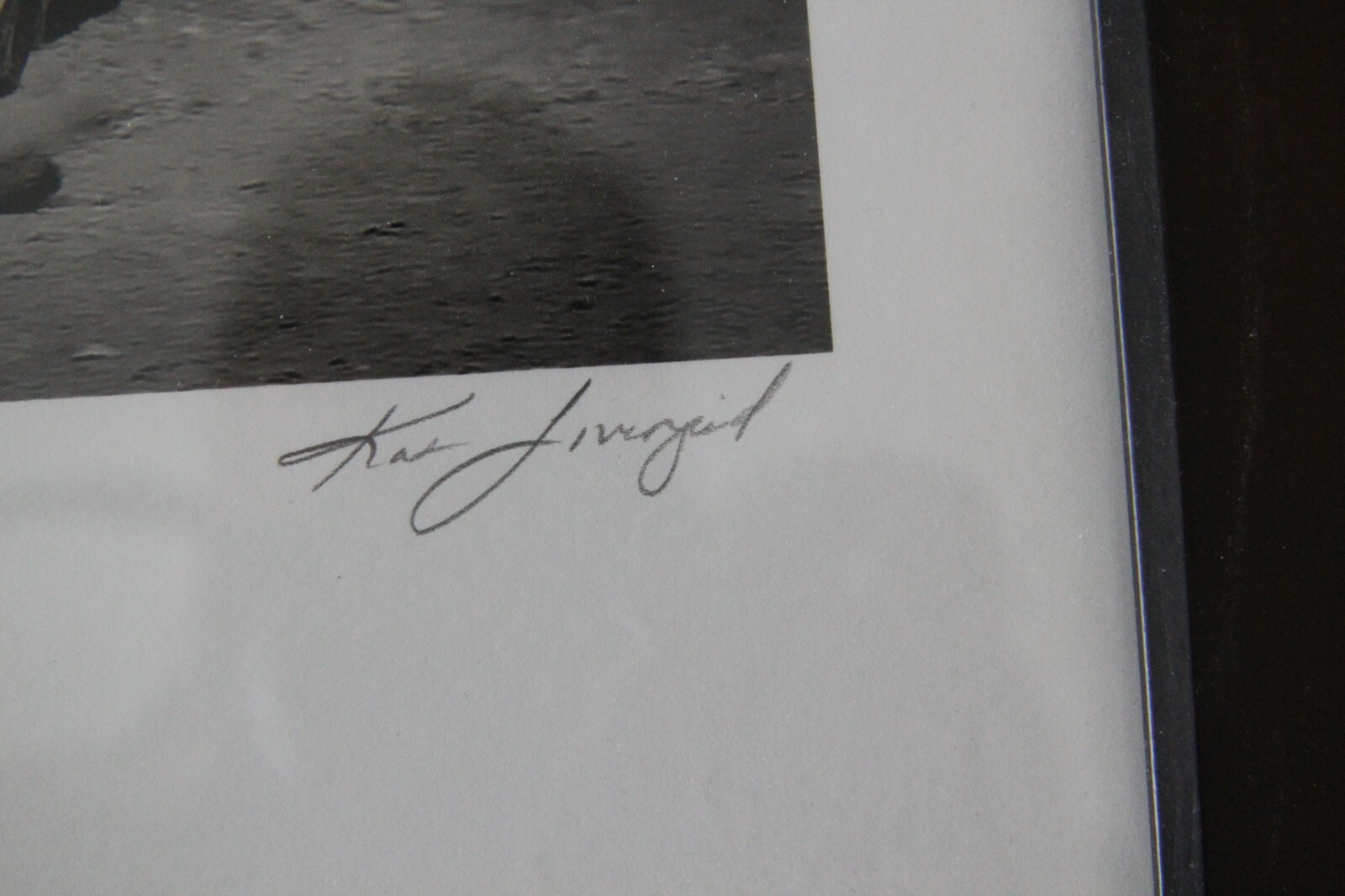 Kat Livengood Numbered 26/50 signed Horse photography 14x20 Framed Very nice