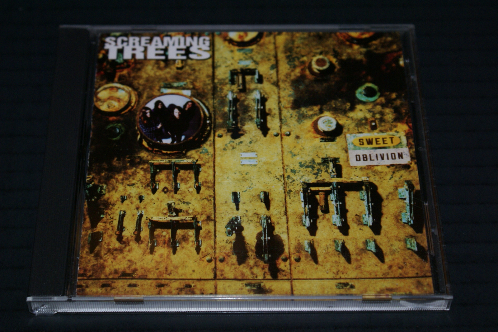 Screaming Trees CD まとめ売り 818U5bwu0uL._UF1000,1000_QL80_.jpg