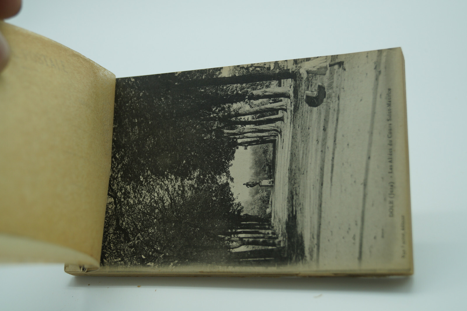 DOLE Book of 24 Unused French Postcards Photos