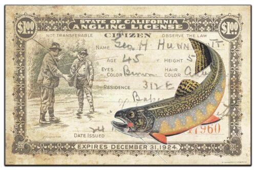 Vintage California Brook Trout Fly Fishing License Art Print 11x17 Wall Decor
