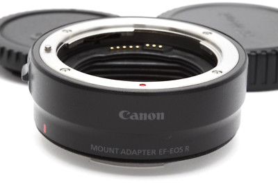 Near Mint Canon Mount Adapter EF-EOS R (Canon EF Lens to Canon EOS R Body)#45546
