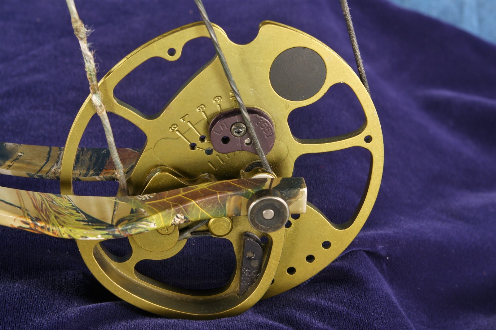 Bear Strike LH - 70lbs PW - 29