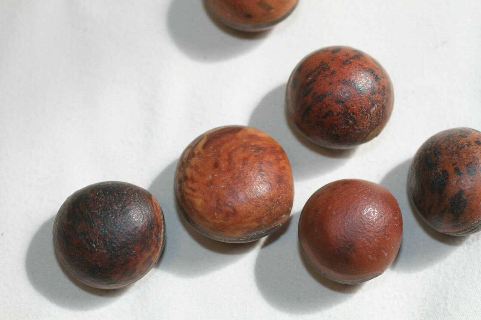 Beachy Gift Ideas For Mom Natural Rustic Ocean Hamburger Sea Beans, SS-19