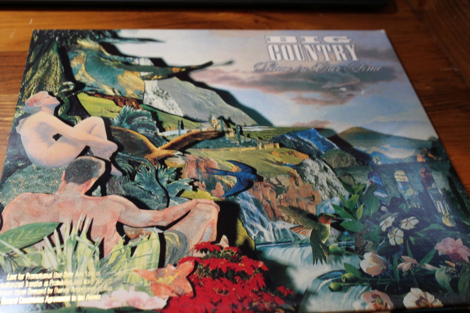 BIG COUNTRY PEACE IN OUR TIME MINT LP PROMO GATEFOLD | eBay