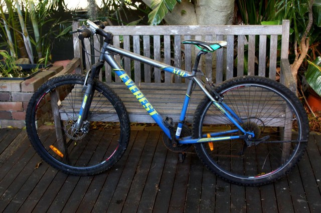 everest 29 xcr mountain bike