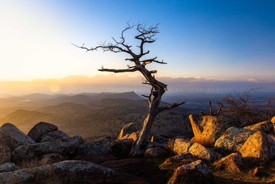Tree on Mount Scott in Wichita Mountains Wildlife Refuge Oklahoma Photo Print