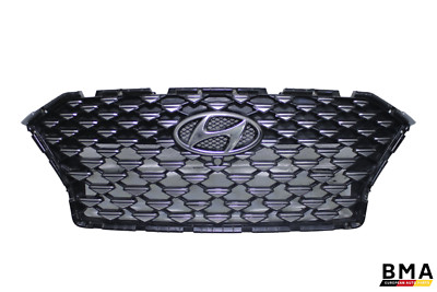 Hyundai Palisade Calligraphy Front Center Grille Assembly 2020 - 2023 Oem