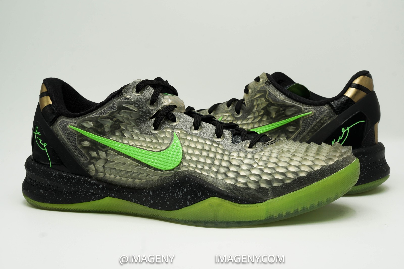 【kobe plants】 $_57.JPG?set_id=8800005007