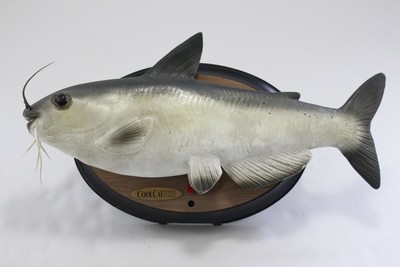 talking catfish toy