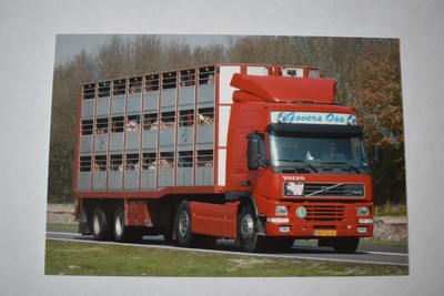 Livestock Truck Photo Govers Oss Volvo FM12  BH-TG-61
