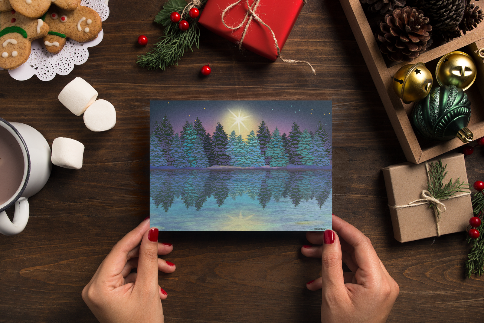 Christmas Cards Boxed with Envelopes, Happy Holidays Cards,Bulk Christmas Cards