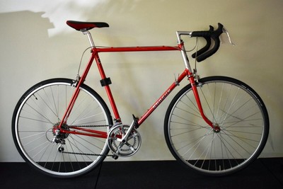shogun team issue aluminium road bike
