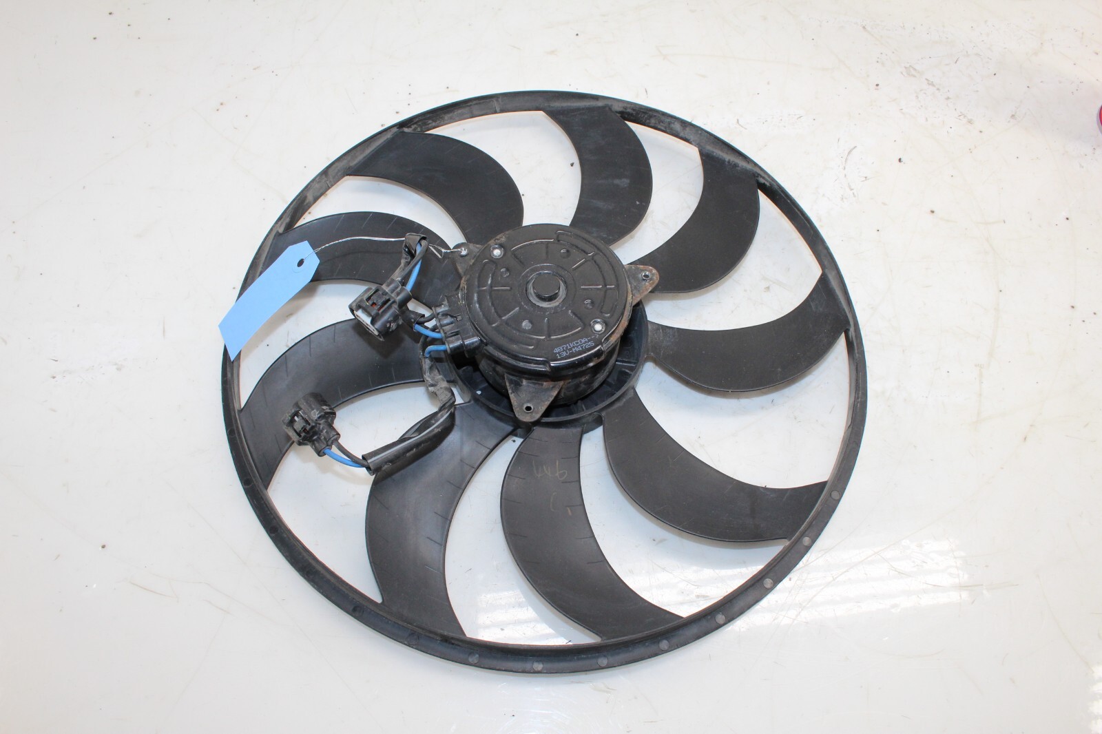 根付け　「胡桃」　　　　N16 根付け 「胡桃」 N16 根付け 「胡桃」 N16 Sale] 胡桃の透かし