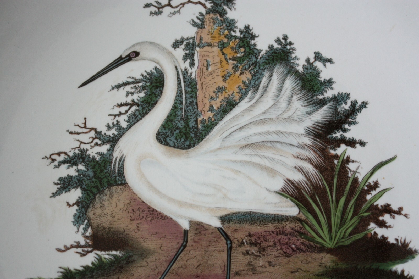 Portmeirion Birds of Britain LITTLE EGRET Large Serving Bowl England 13