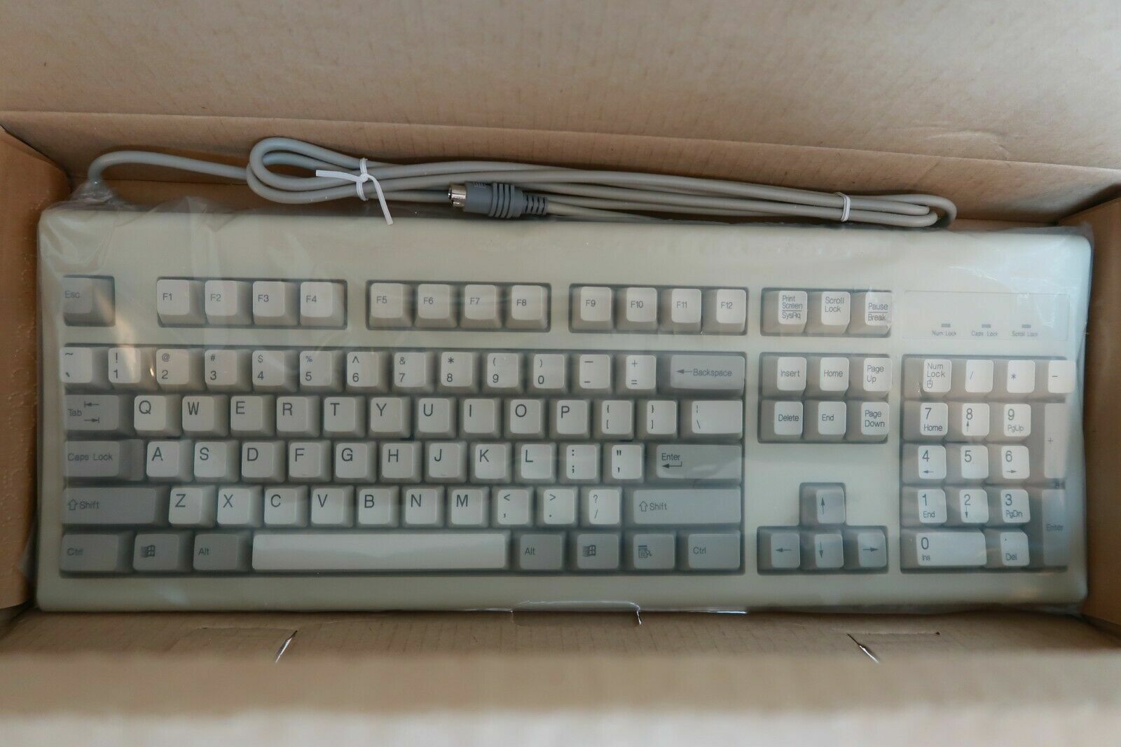 Chicony Keyboard KB3923 (OEM of IBM Rapid Response W95, Wyse, etc.) PS/2 NEWのeBay公認海外通販｜セカイモン