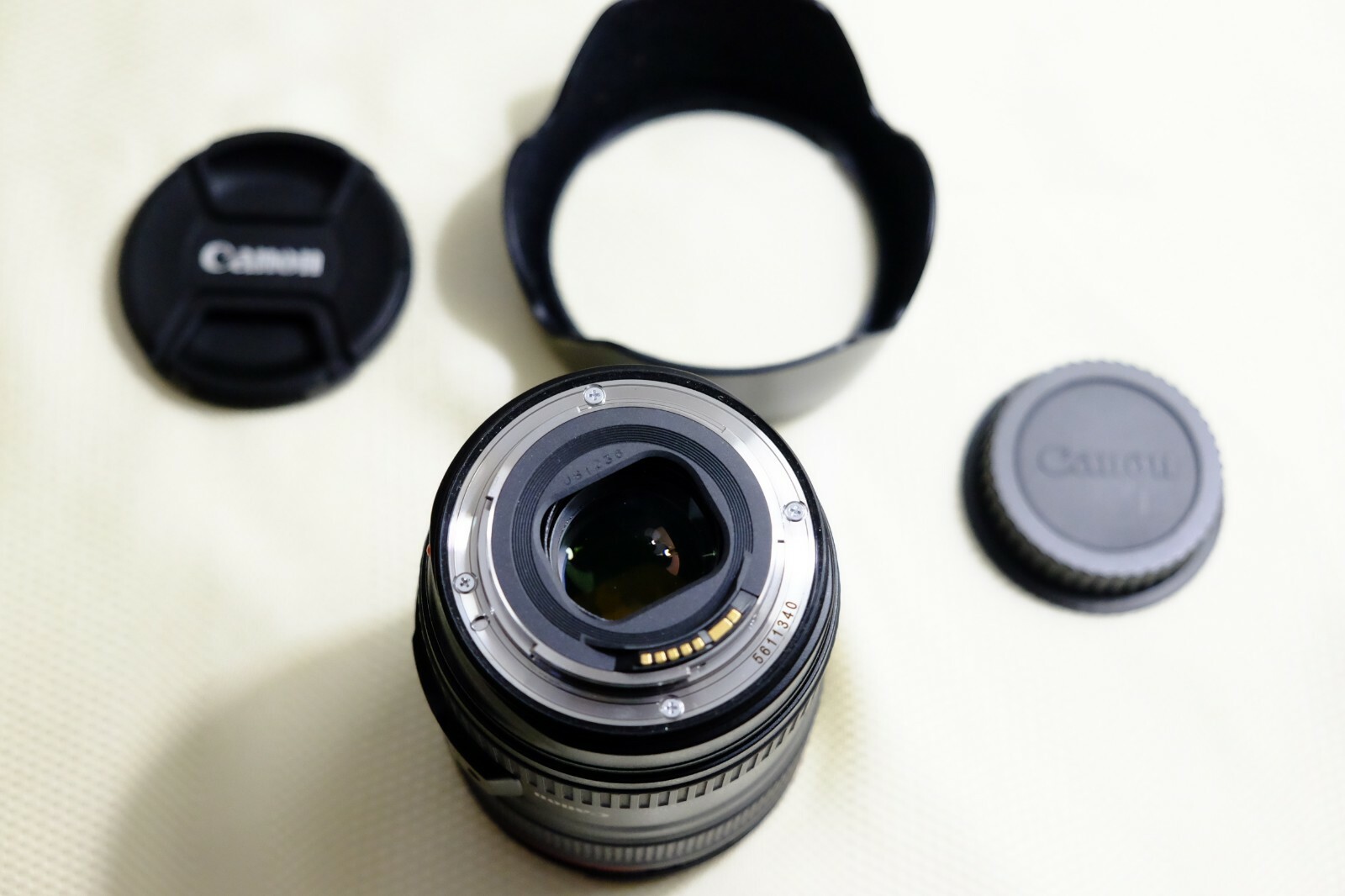 Sony a7II with Canon EF 24-105mm f/4L lens & Sigma MC-11 adapter