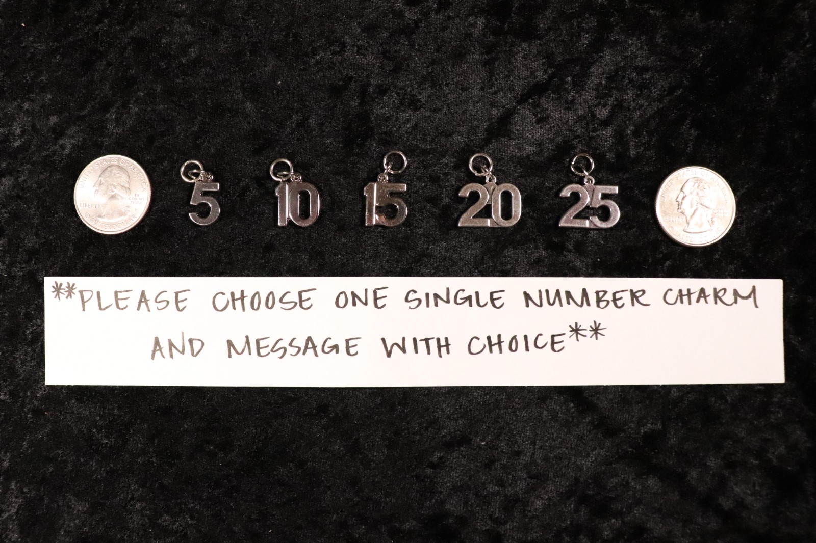 Flaunt Your Success - One Single LRG Number Charm for Weight Watchers Key Ring!