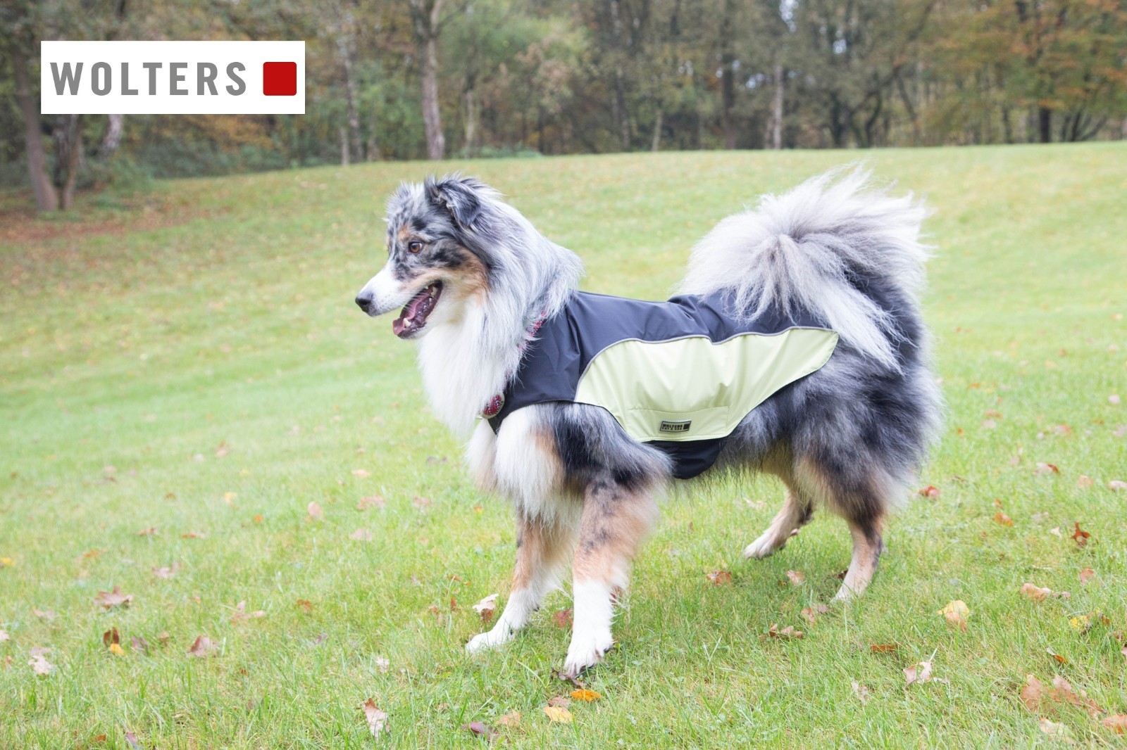 Wolters Easy Rain Hunde Regenjacke Mantel auch für Geschirre auch Mops