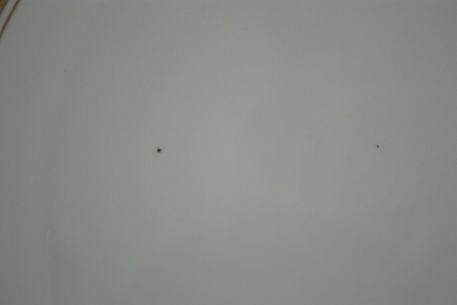 Rosenthal Deep Pink  Charger Plate Gilded Floral & Accents on White Germany 13