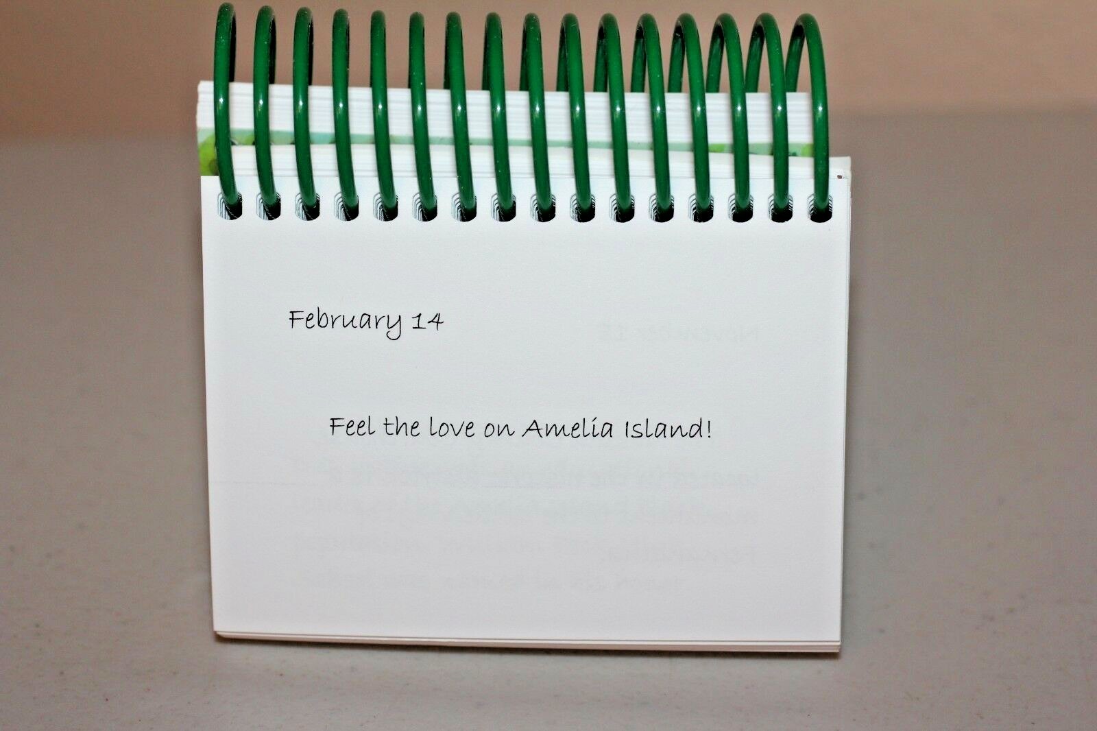 Flip It Perpetual Calendar Amelia Island, FL    (Lot#338)