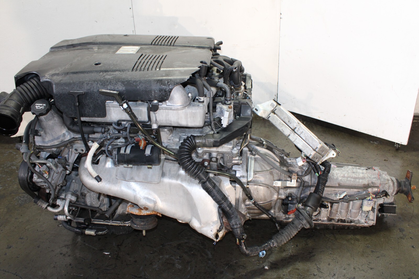 洋書 The V12 Engine 洋書 The V12 Engine 71M1FTcwyjL._UF894,1000_QL80_.jpg