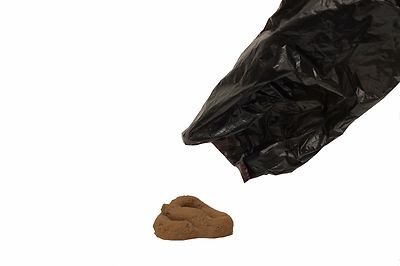 1000 SCENTED DOG PET PICK UP POOP CLEAN UP WASTE BAGS /EZTIE HANDLES MADE IN USA