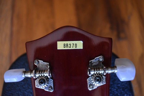 Rhapsody BR370 5 String Banjo, Great Condition!