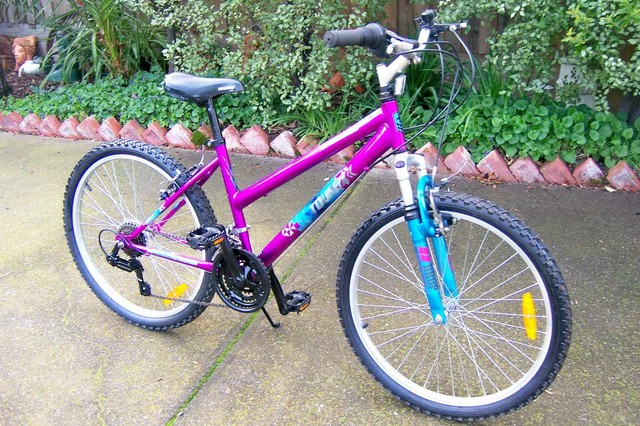 used kids mountain bike