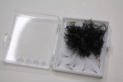500 Loose Fans 3D or 5D or 6D 0.05 Pre made Volume lash extensions D Curl 11-16m