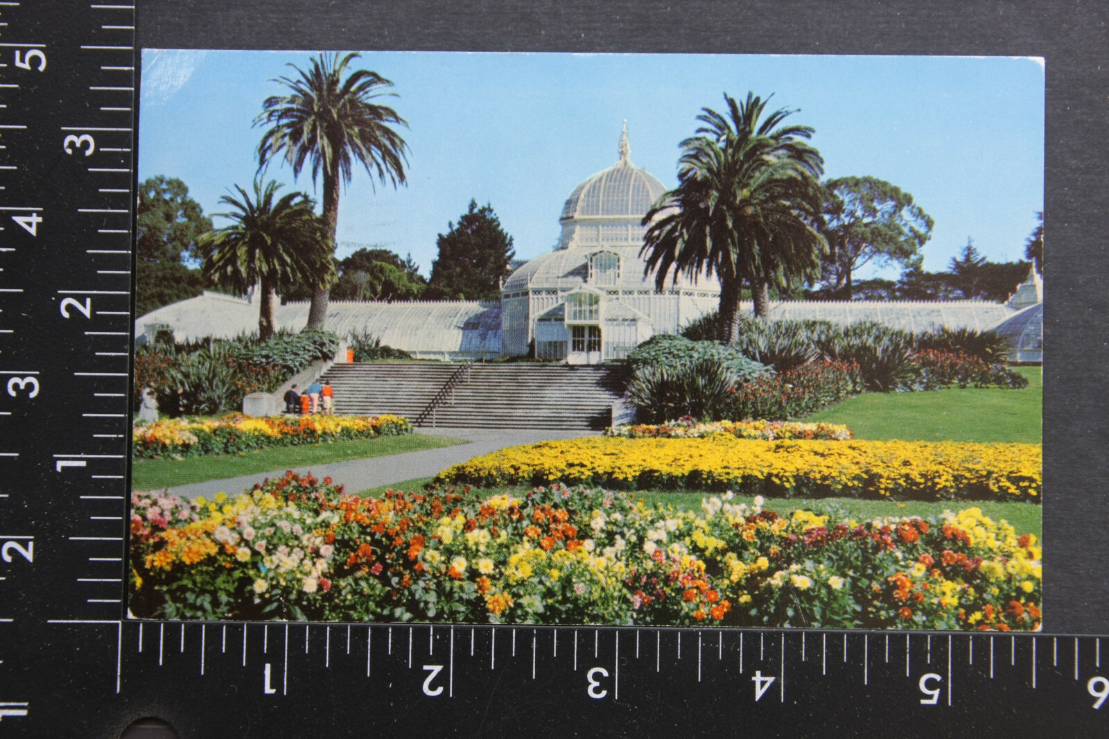 Conservatory Flowers Golden Gate San Fran CA 1974 Posted Postcard