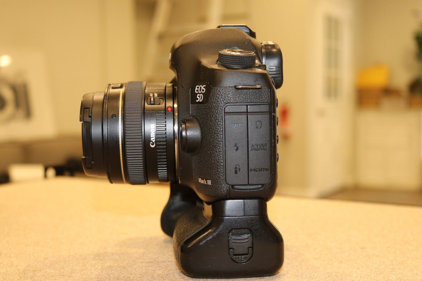 Canon EOS 5D MARK III 22.3 MP Digital SLR With 50mm F/1.4 Canon EOS 5D MARK III 22.3 MP Digital SLR With 50mm F/1.4