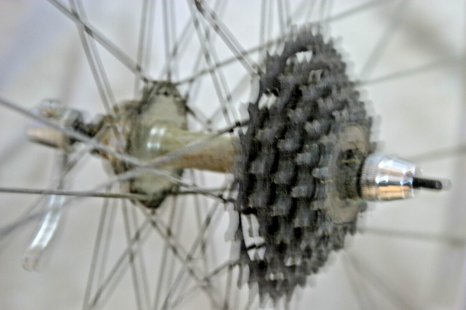 Alexrims Rear 700c Road Bike Wheel Sora 7S Freewheel 130/20mm 36S PV USA Shipper