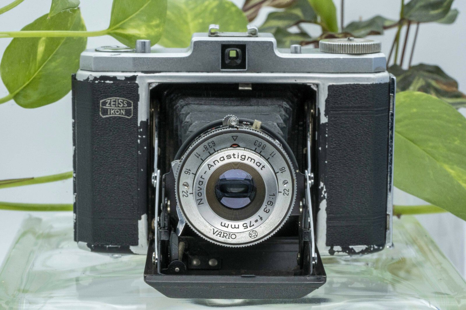 フィルムカメラ Zeiss Ikon Nettar 517/16 Novar Exploring the Eternal Craft of the Zeiss Ikon Nettar 517/16