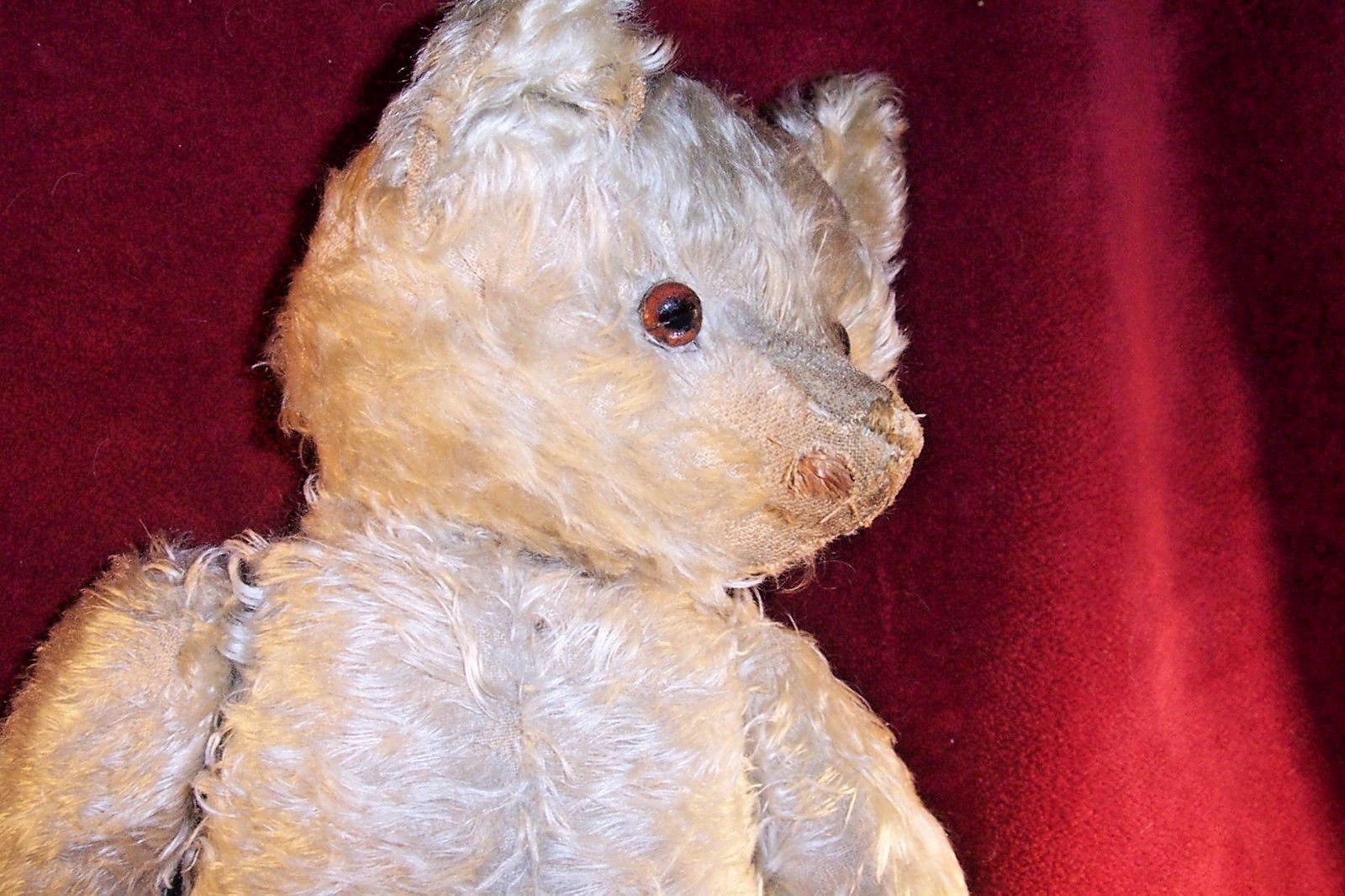 RARE WHITE MOHAIR Bear-  Early Antique, Hump, Long Arms and Snout