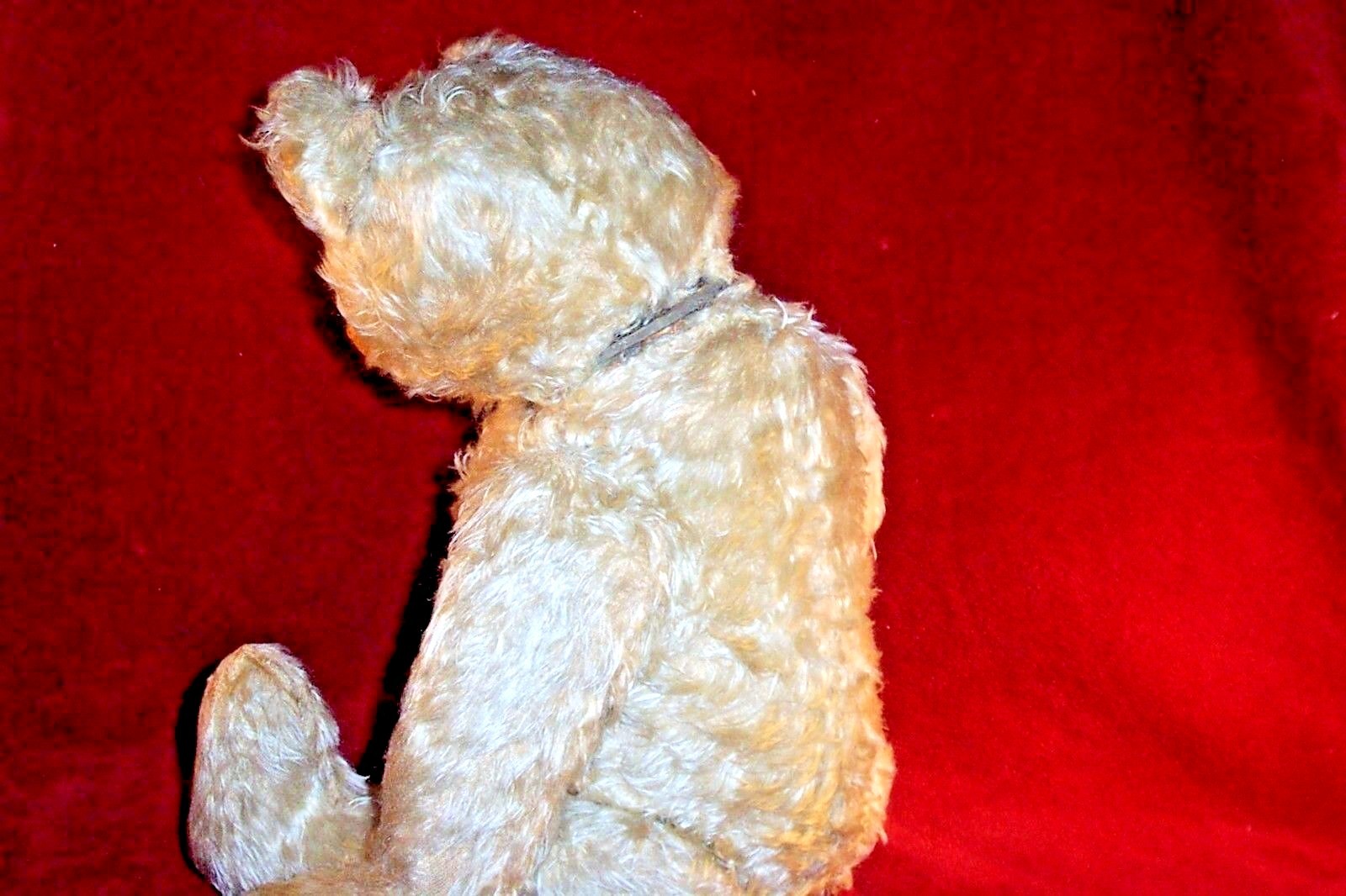 RARE WHITE MOHAIR Bear-  Early Antique, Hump, Long Arms and Snout