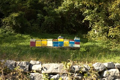 Objectfoto('s) van geverifieerde koper