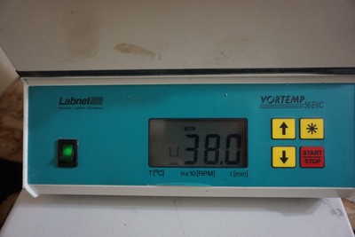 LabNet Vortemp 56 EVC Incubator Shaker orbital thermoshaker minishaker plate