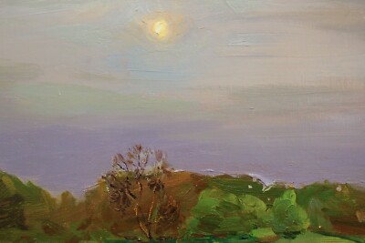 Plein air painting IMPRESSIONISM original Oil on canvas by A. Onipchenko