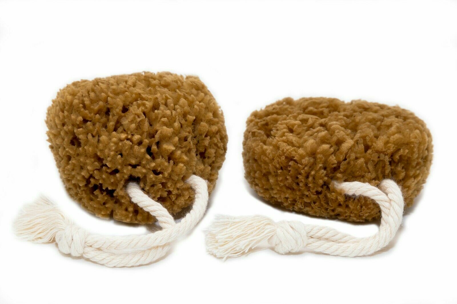 Sparpaket 2x Wellness Badeschwämme Naturschwämme mit Kordel aus dem Mittelmeer 